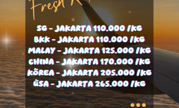 Impor Borongan All In: Solusi Praktis Buat Kamu yang Nggak Mau Ribet